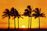 20070914232439-ph0187-b-puesta-de-sol-en-hawai-posteres.jpg