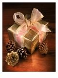 20070921185531-439124b-b-christmas-gift-with-gold-ribbon-and-pinecones-posters.jpg
