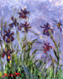 20080104173949-2300-2034-b-lirios-posteres-claude-monet.jpg
